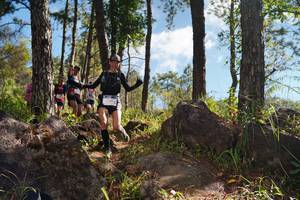 BIB: 
                            <button type="button" onclick="openModal(18950457)" class="btn btn-primary btn-sm float-right btn-popup" data-toggle="modal" data-target=".modal-high-quality">
                        <i class="fas fa-shopping-cart"></i> Add to Cart
                    </button>
                                            <button type="button" onclick="isThisMe(18950457, true)" class="btn btn-success btn-sm float-right btn-popup btn-isme hidden" data-toggle="tooltip" data-placement="bottom" title="นี่คือรูปของคุณใช่ไหม คลิกที่นี่เพื่อเอาเข้าอัลบั้ม">
                        <i class="fas fa-plus"></i> Add to album
                    </button>
                    <button type="button" onclick="isThisMe(18950457, false)" class="btn btn-warning btn-sm float-right btn-popup btn-isnotme hidden">
                        <i class="fas fa-ban"></i> Remove from album
                    </button>